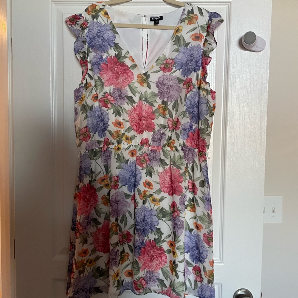 Express Multicolor Floral Mini Dress